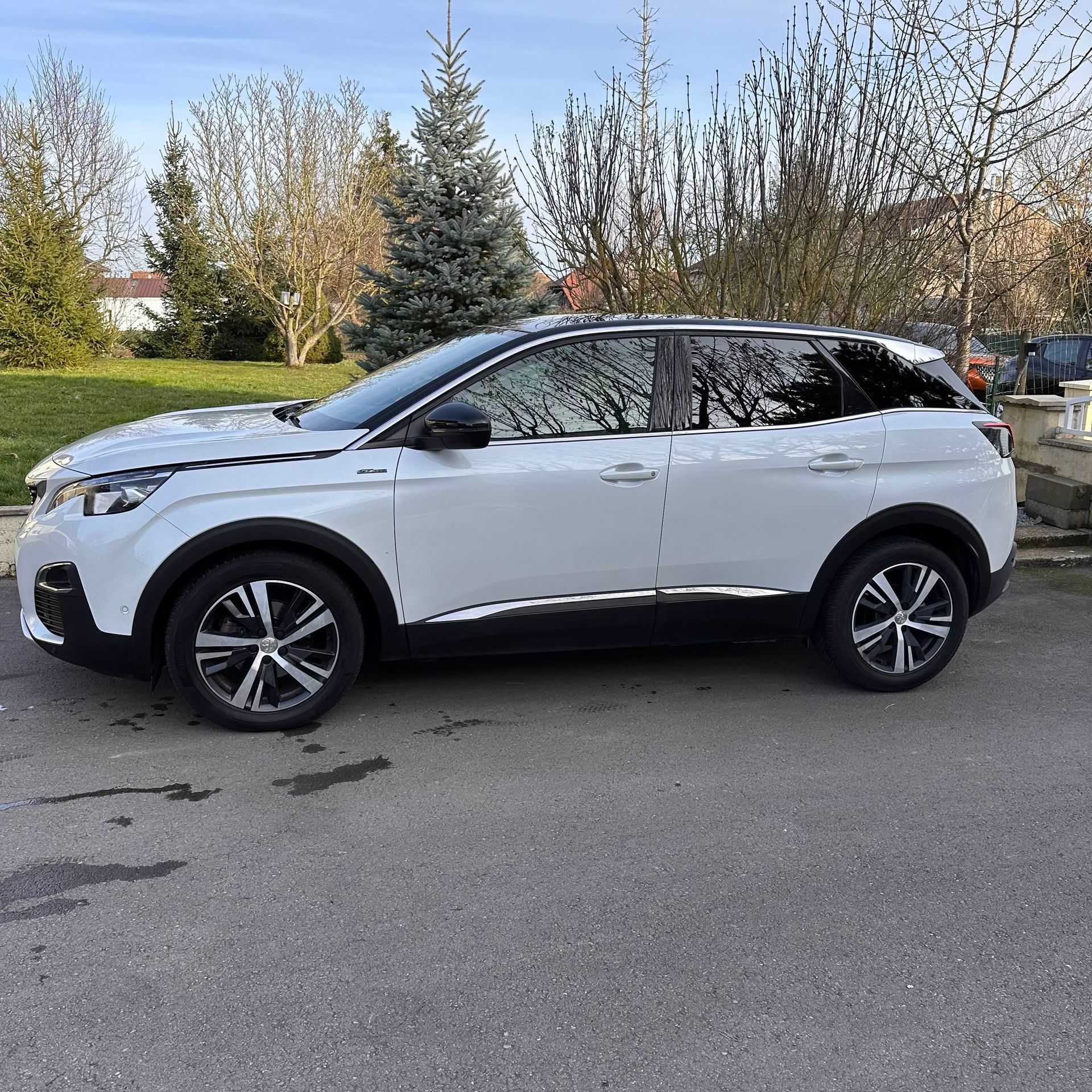 Vue 5