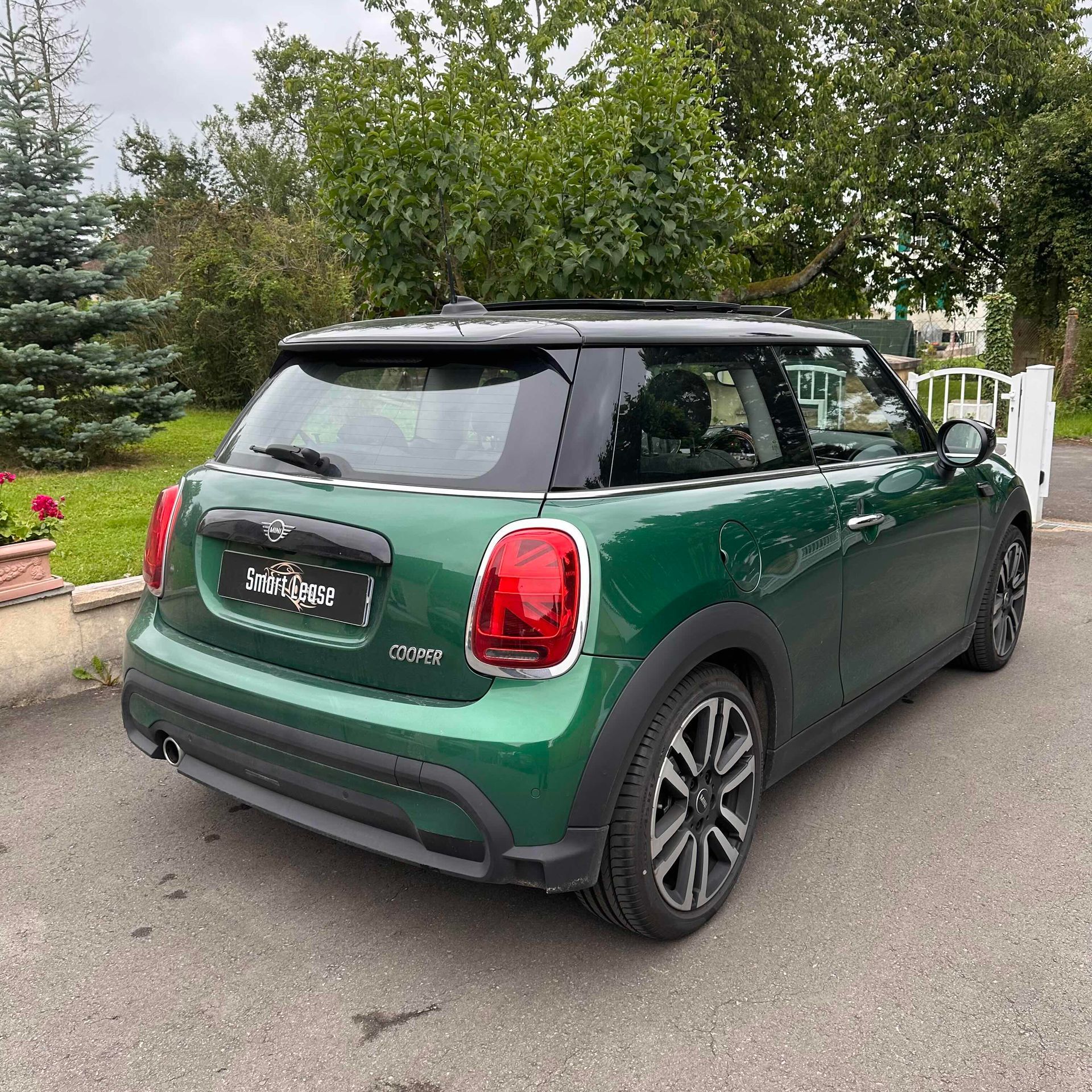 Vue 5