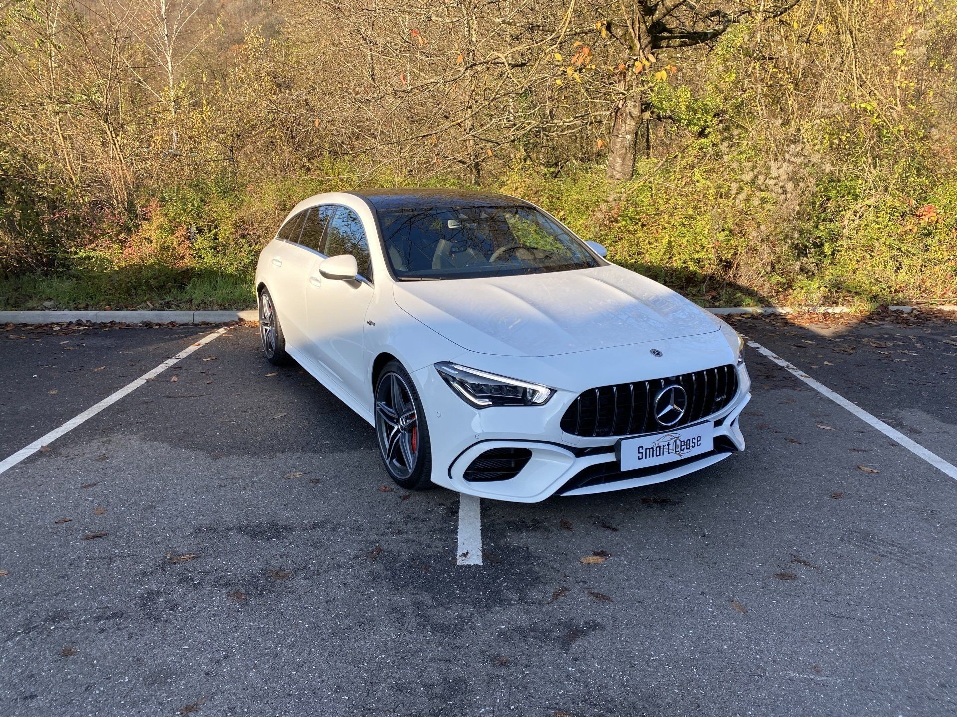 Vue 5