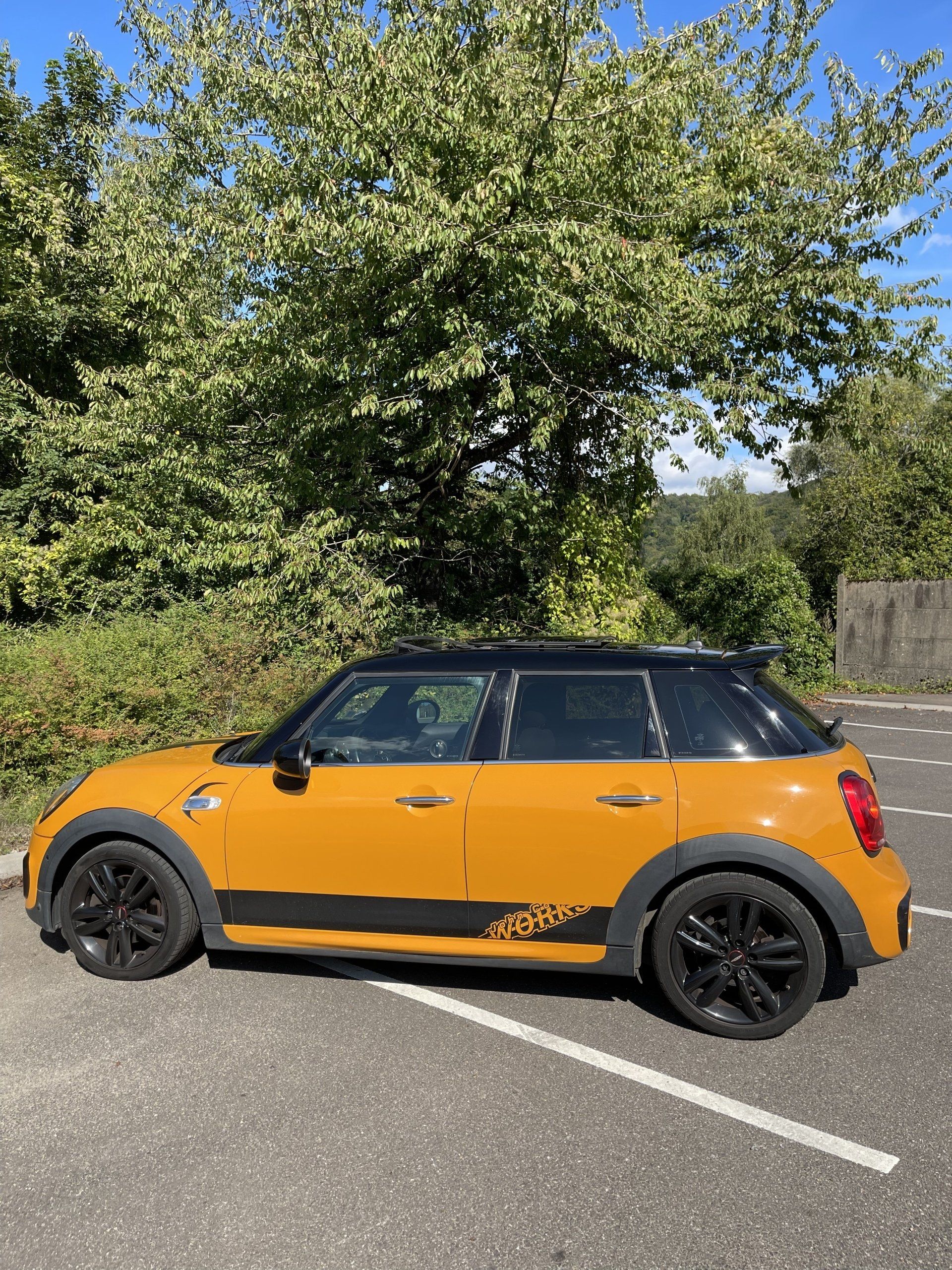 Vue 15