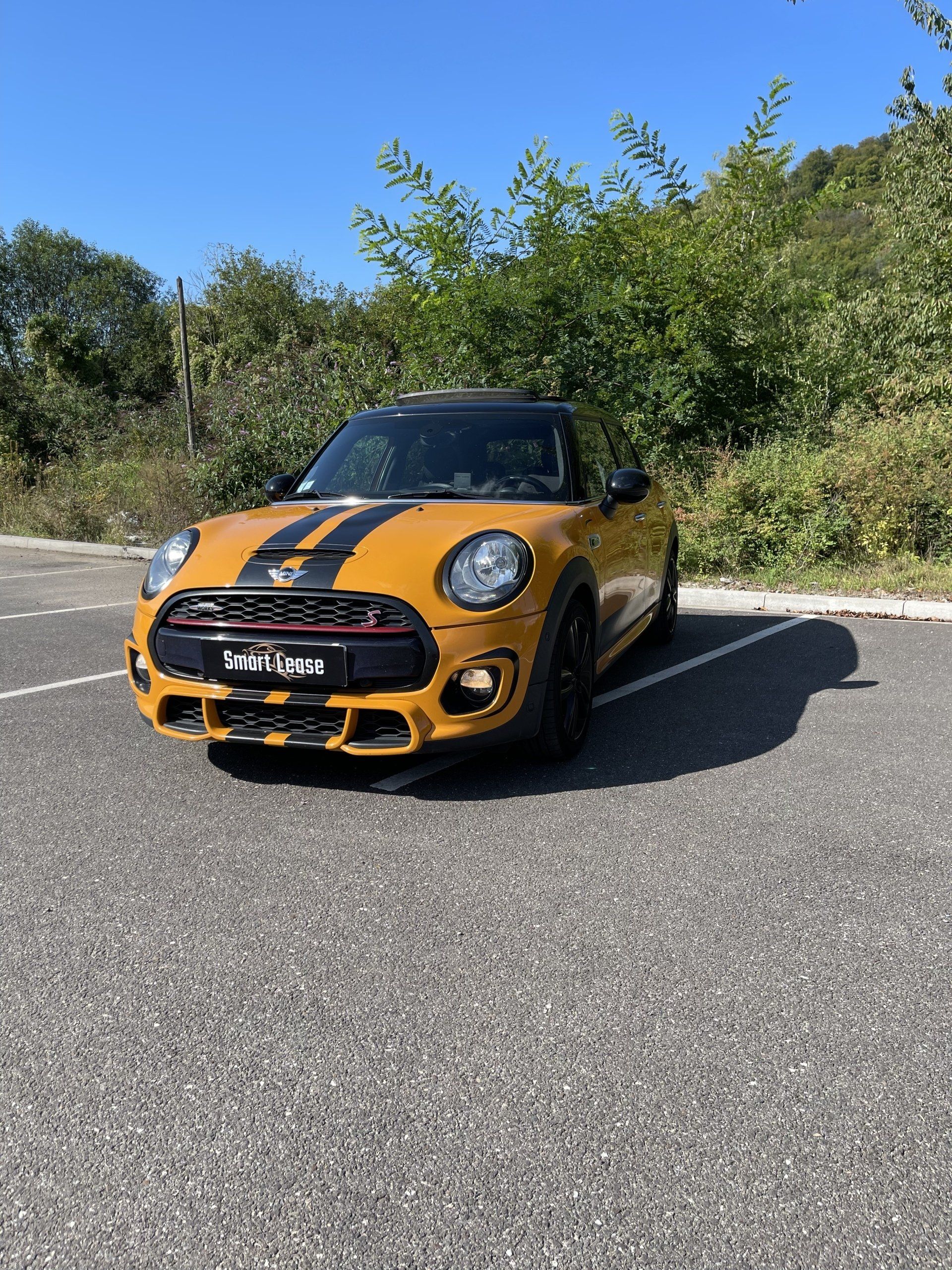 Vue 7