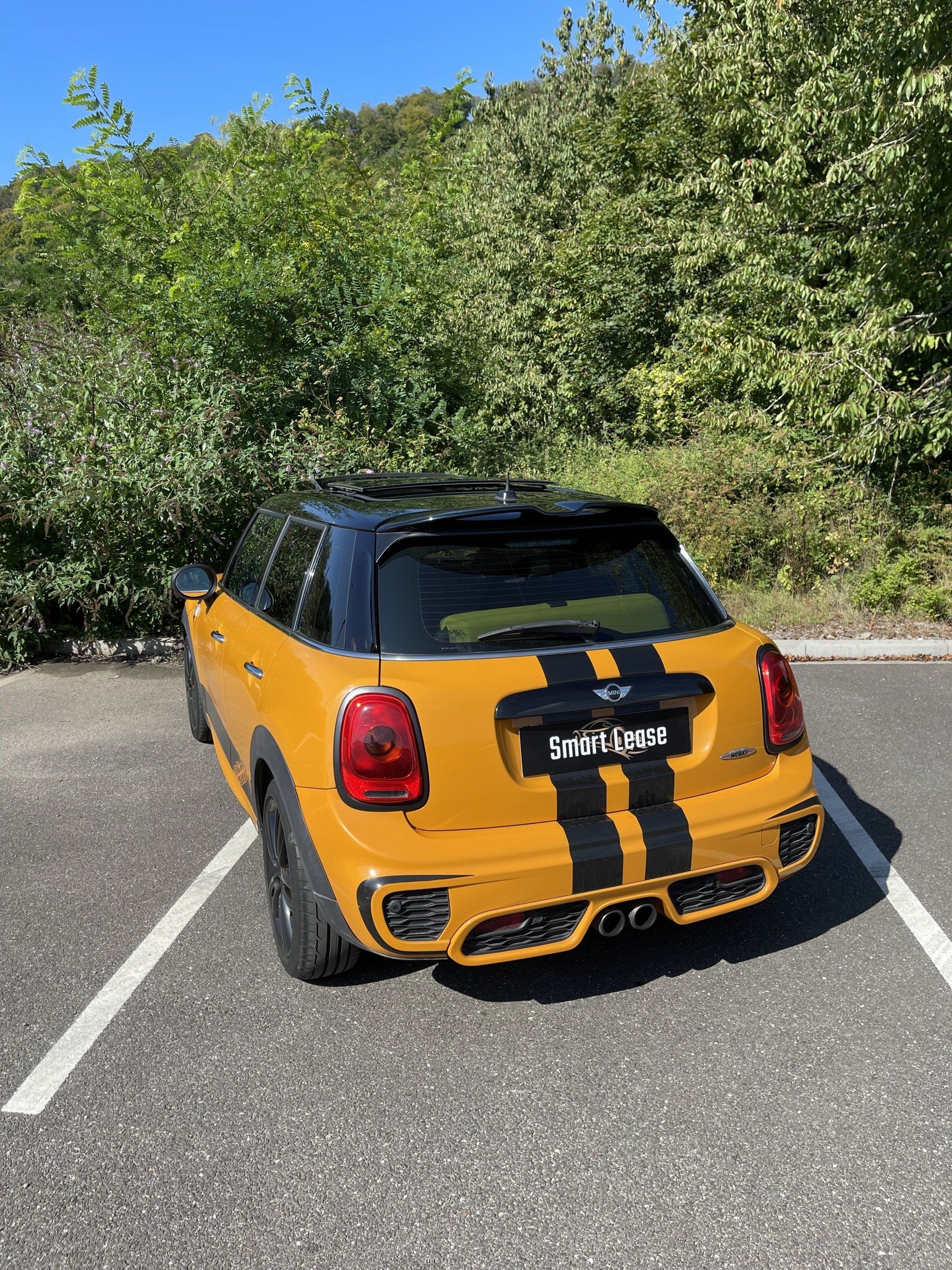 Vue 11